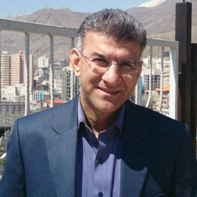 محسن ایلچی